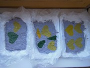 Ekologický workshop